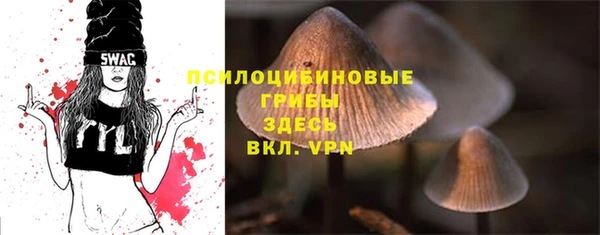 шишки Балахна