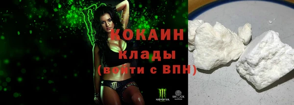 шишки Балахна