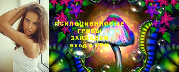 дживик Балабаново