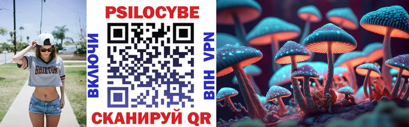 цена наркотик  Краснодар  Псилоцибиновые грибы Psilocybe 